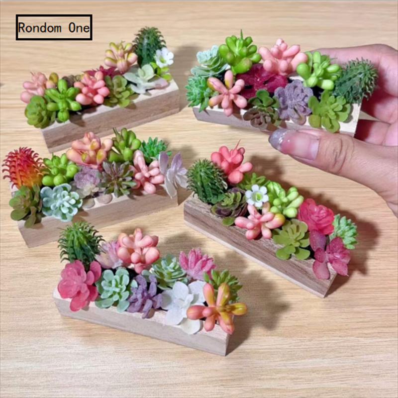 ⭐HOT❗ 1PC Miniature Wooden Tro - огляд і ціна Photography Simulator