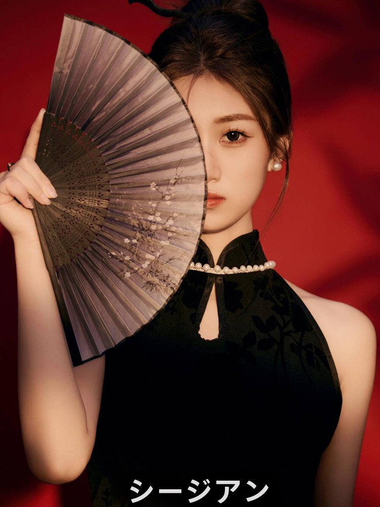 Black  Costume Studio Theme Or - огляд і ціна Photography Studio